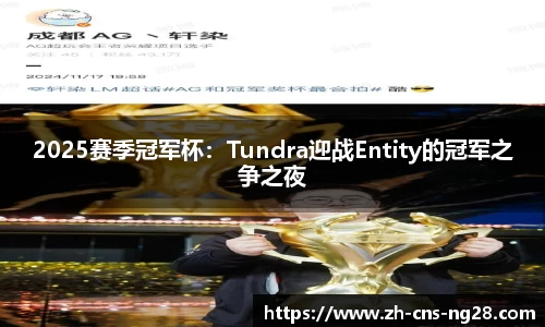 2025赛季冠军杯:Tundra迎战Entity的冠军之争之夜